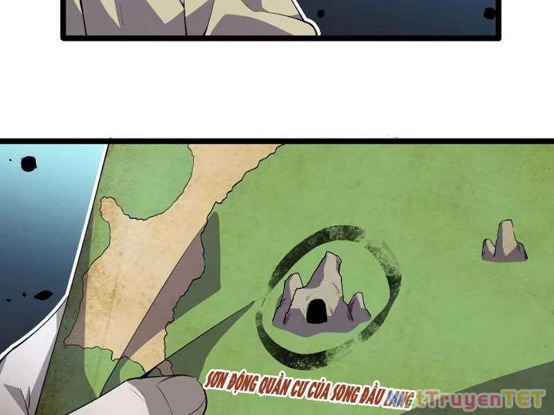 Xuyên Không Đến Thế Giới Tu Chân, Ta Vậy Mà Kích Hoạt Được Hệ Thống Plants vs Zombie Chapter 5 - Trang 3