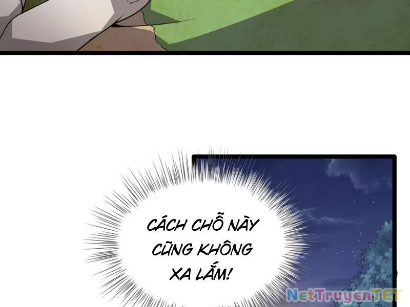 Xuyên Không Đến Thế Giới Tu Chân, Ta Vậy Mà Kích Hoạt Được Hệ Thống Plants vs Zombie Chapter 5 - Trang 3