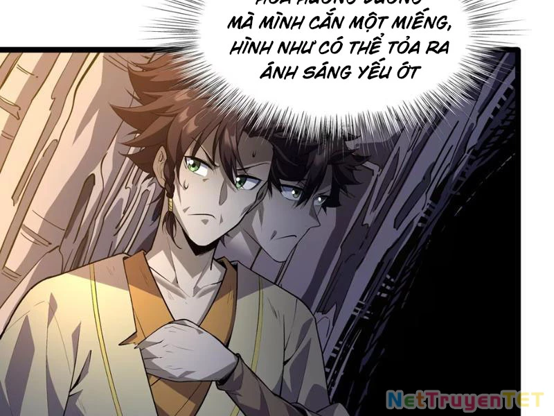 Xuyên Không Đến Thế Giới Tu Chân, Ta Vậy Mà Kích Hoạt Được Hệ Thống Plants vs Zombie Chapter 5 - Trang 3