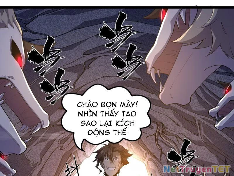 Xuyên Không Đến Thế Giới Tu Chân, Ta Vậy Mà Kích Hoạt Được Hệ Thống Plants vs Zombie Chapter 5 - Trang 3