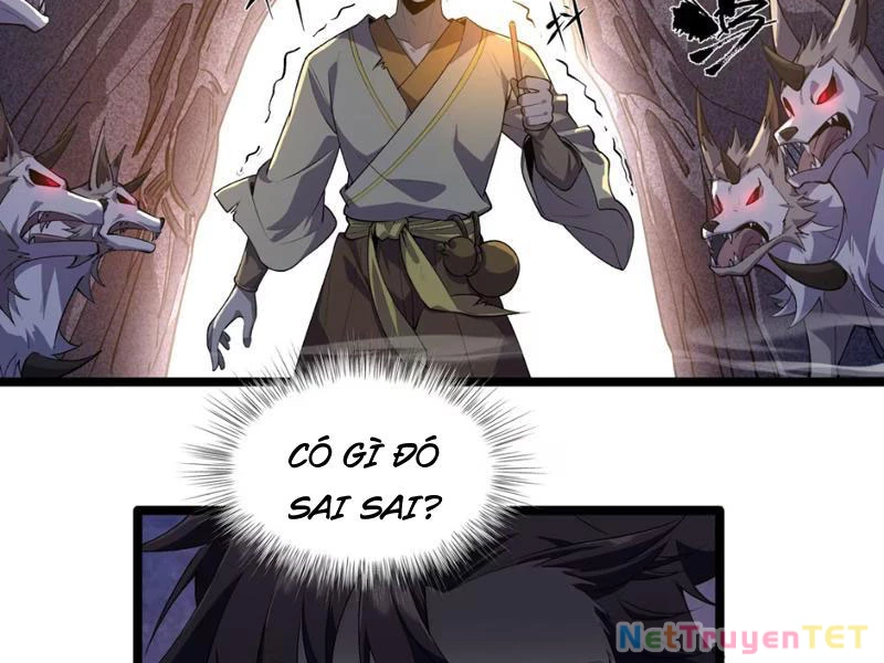 Xuyên Không Đến Thế Giới Tu Chân, Ta Vậy Mà Kích Hoạt Được Hệ Thống Plants vs Zombie Chapter 5 - Trang 3