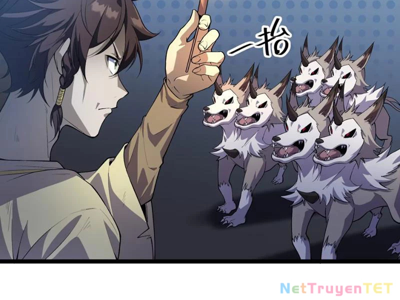 Xuyên Không Đến Thế Giới Tu Chân, Ta Vậy Mà Kích Hoạt Được Hệ Thống Plants vs Zombie Chapter 5 - Trang 3