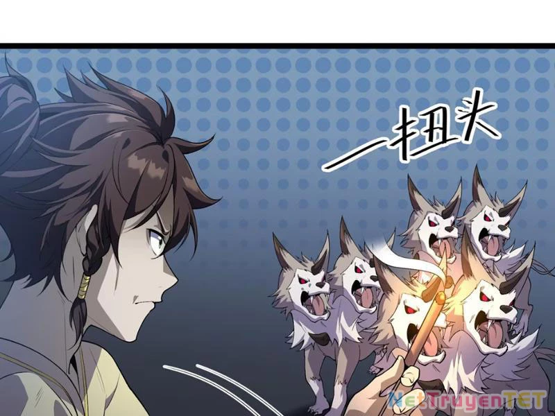 Xuyên Không Đến Thế Giới Tu Chân, Ta Vậy Mà Kích Hoạt Được Hệ Thống Plants vs Zombie Chapter 5 - Trang 3