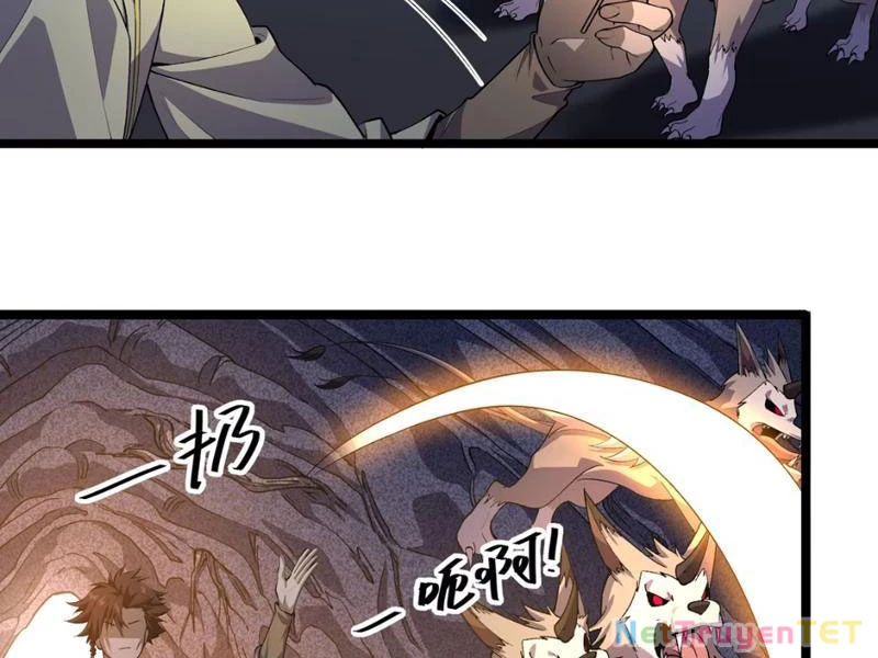 Xuyên Không Đến Thế Giới Tu Chân, Ta Vậy Mà Kích Hoạt Được Hệ Thống Plants vs Zombie Chapter 5 - Trang 3