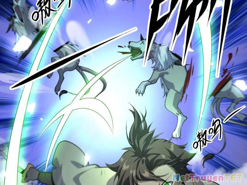 Xuyên Không Đến Thế Giới Tu Chân, Ta Vậy Mà Kích Hoạt Được Hệ Thống Plants vs Zombie Chapter 5 - Trang 3