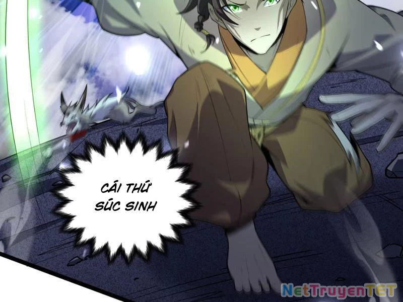 Xuyên Không Đến Thế Giới Tu Chân, Ta Vậy Mà Kích Hoạt Được Hệ Thống Plants vs Zombie Chapter 5 - Trang 3