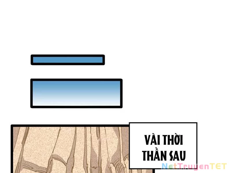 Xuyên Không Đến Thế Giới Tu Chân, Ta Vậy Mà Kích Hoạt Được Hệ Thống Plants vs Zombie Chapter 5 - Trang 3