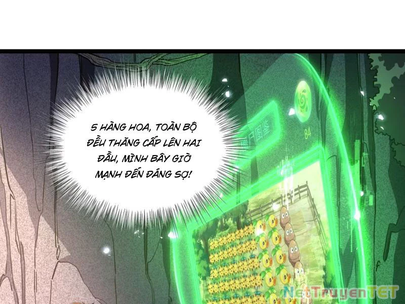 Xuyên Không Đến Thế Giới Tu Chân, Ta Vậy Mà Kích Hoạt Được Hệ Thống Plants vs Zombie Chapter 5 - Trang 3