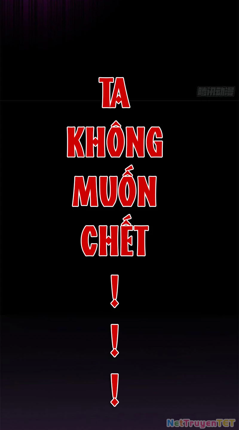 Tân Sủng Mị Chapter 2 - Trang 2