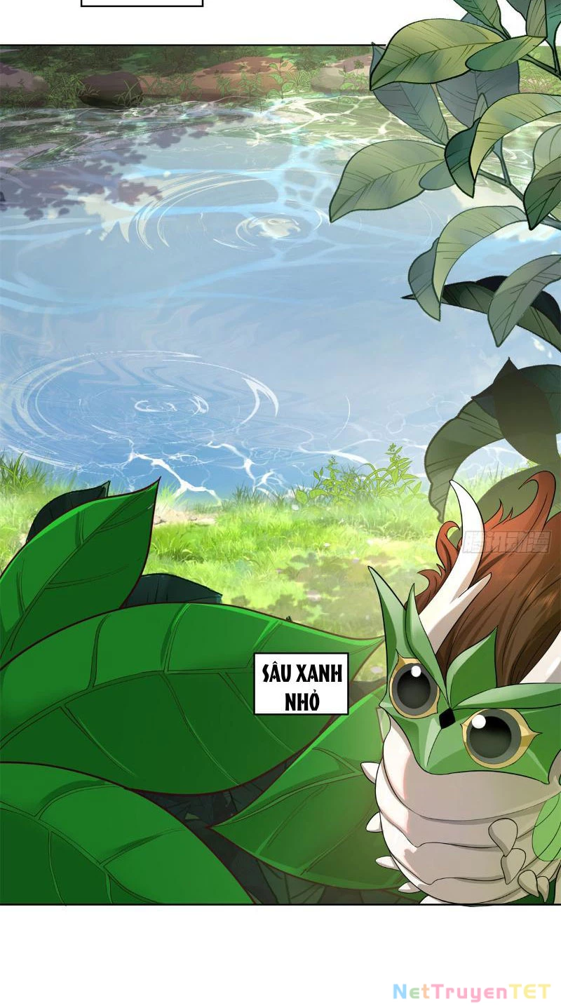 Tân Sủng Mị Chapter 7 - Trang 2