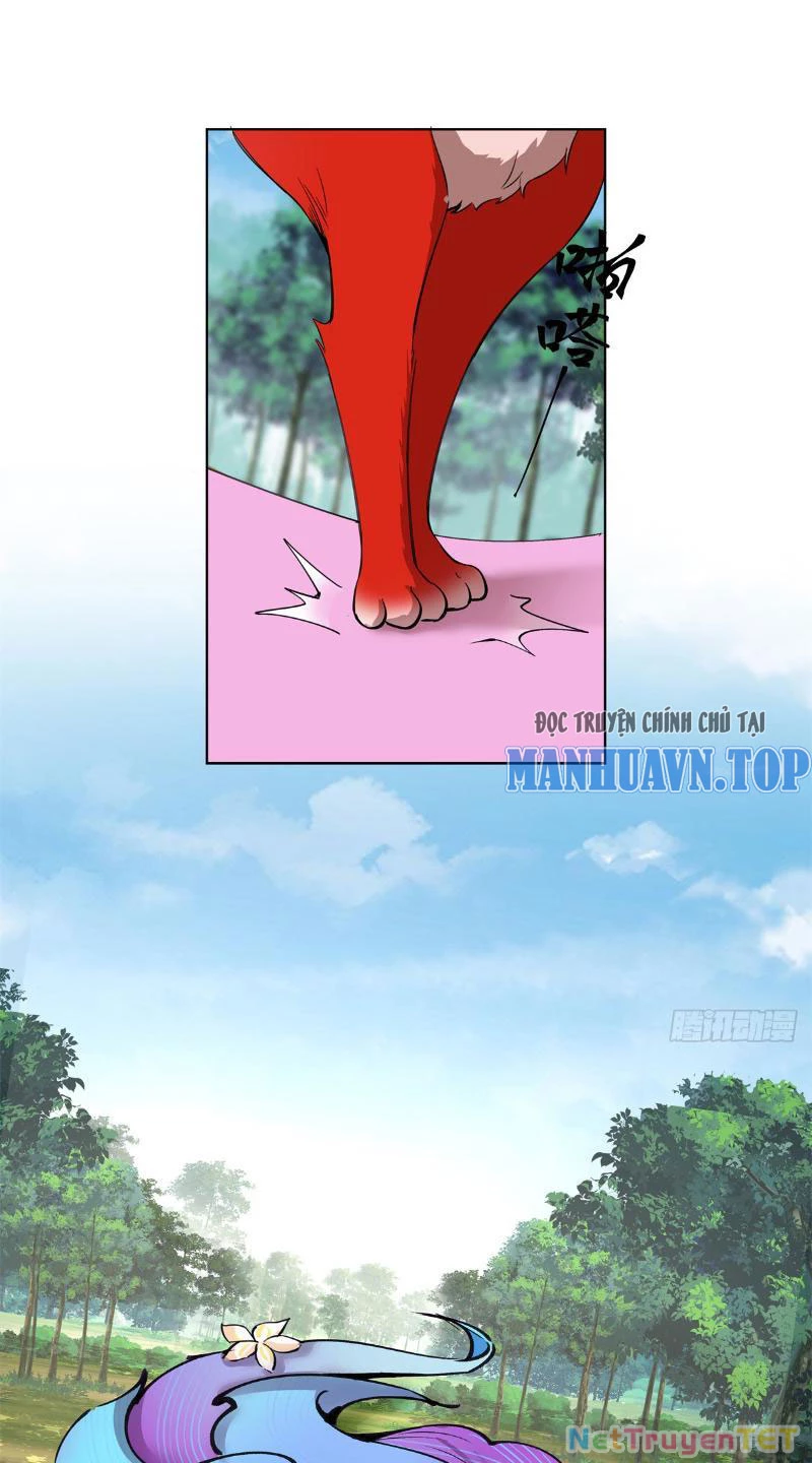 Tân Sủng Mị Chapter 8 - Trang 2