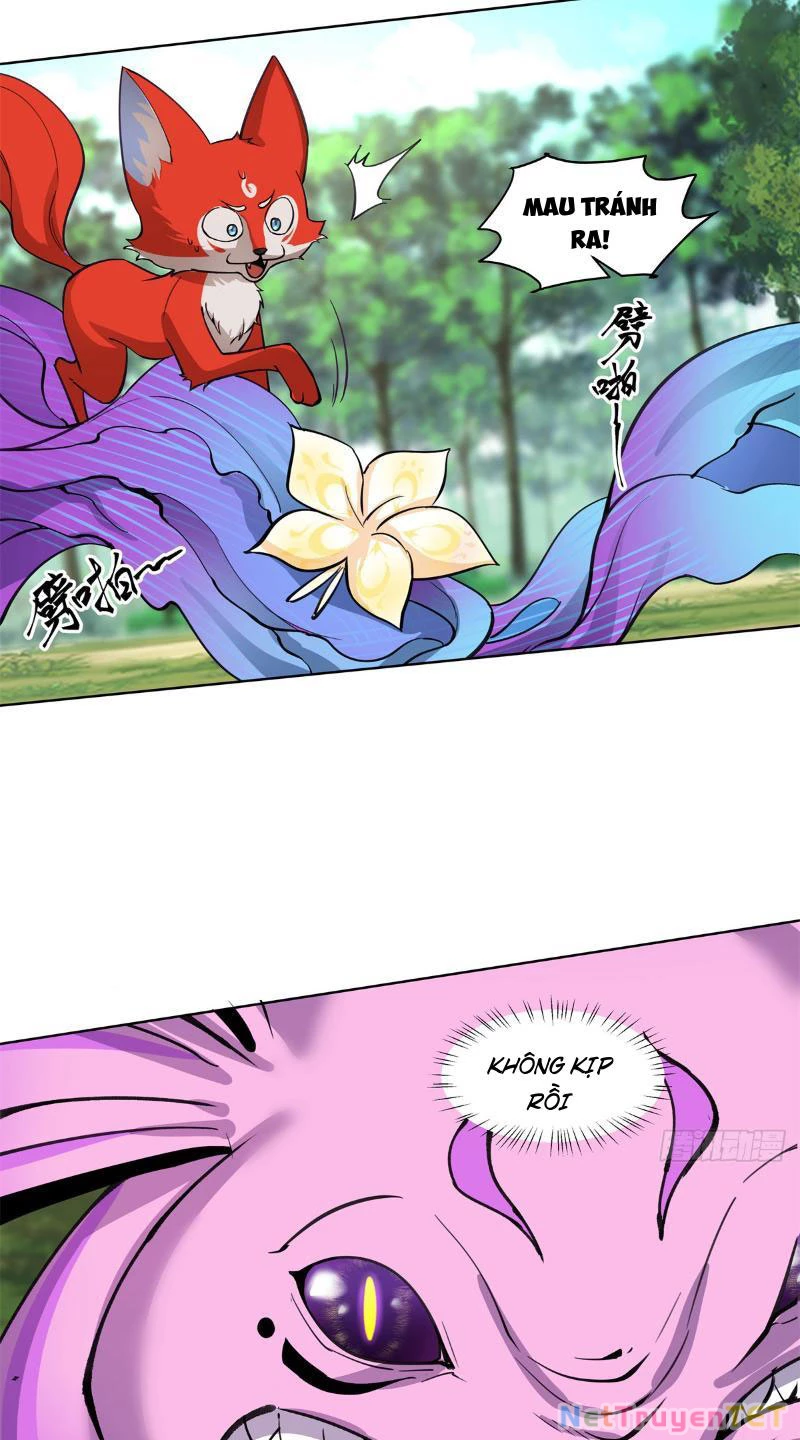 Tân Sủng Mị Chapter 8 - Trang 2