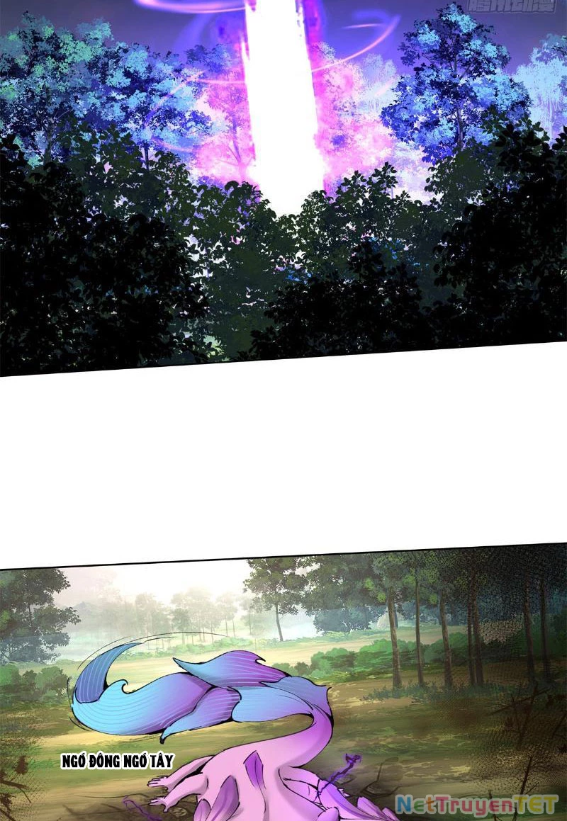 Tân Sủng Mị Chapter 8 - Trang 2