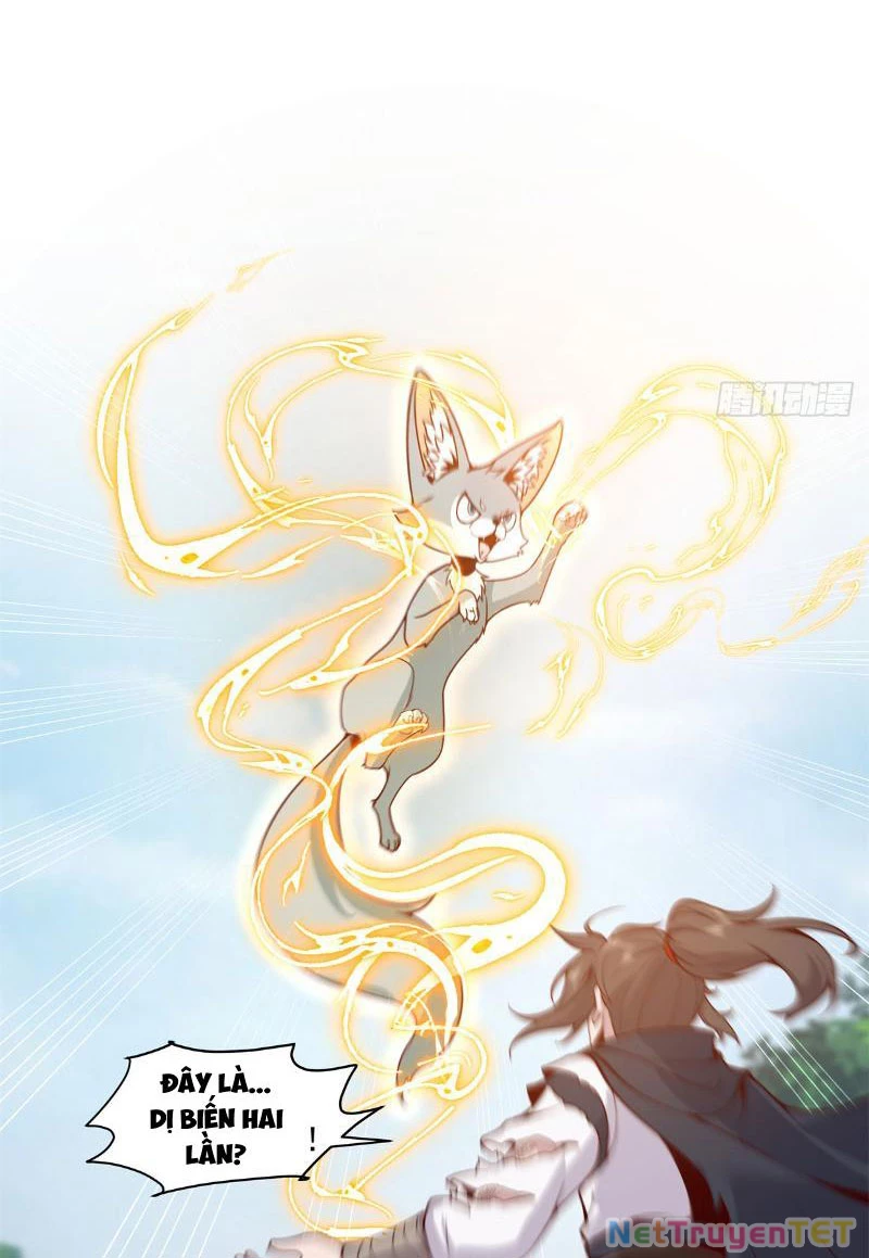Tân Sủng Mị Chapter 8 - Trang 2