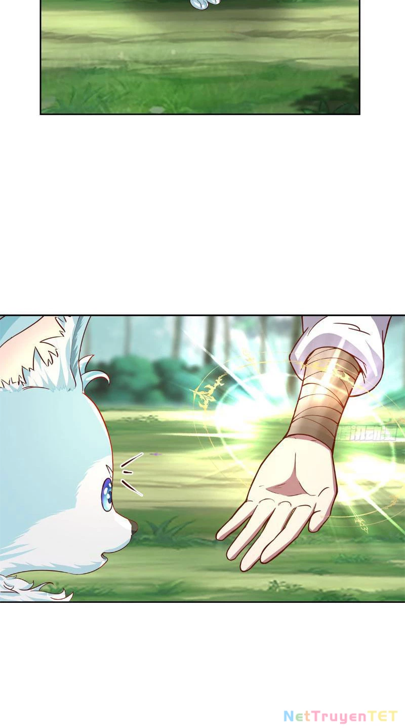 Tân Sủng Mị Chapter 9 - Trang 2