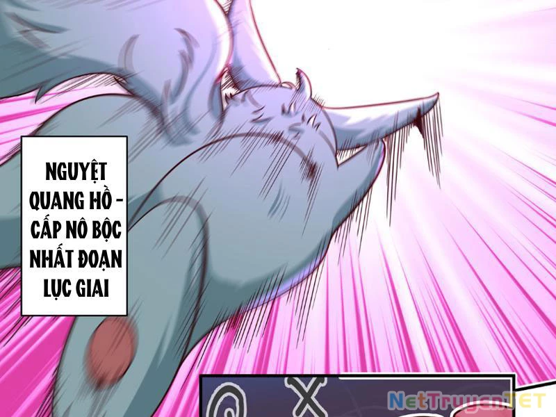 Tân Sủng Mị Chapter 13 - Trang 2