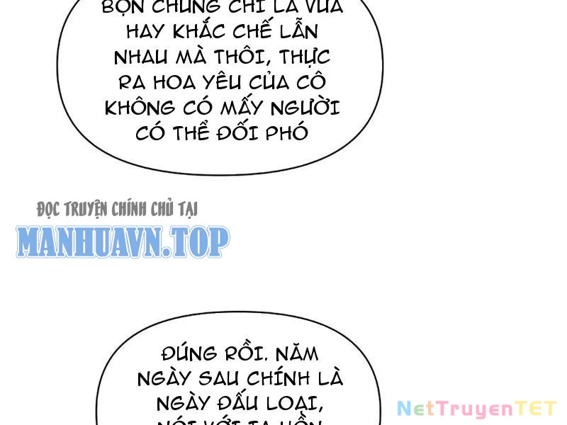 Tân Sủng Mị Chapter 13 - Trang 2