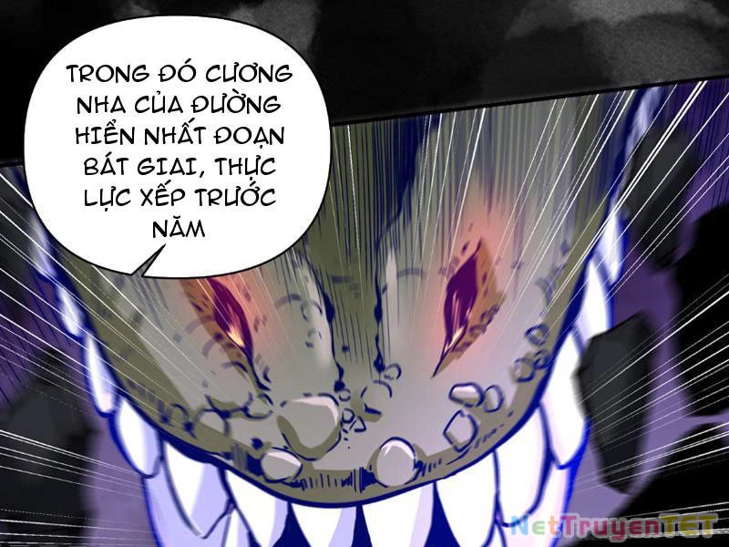 Tân Sủng Mị Chapter 13 - Trang 2