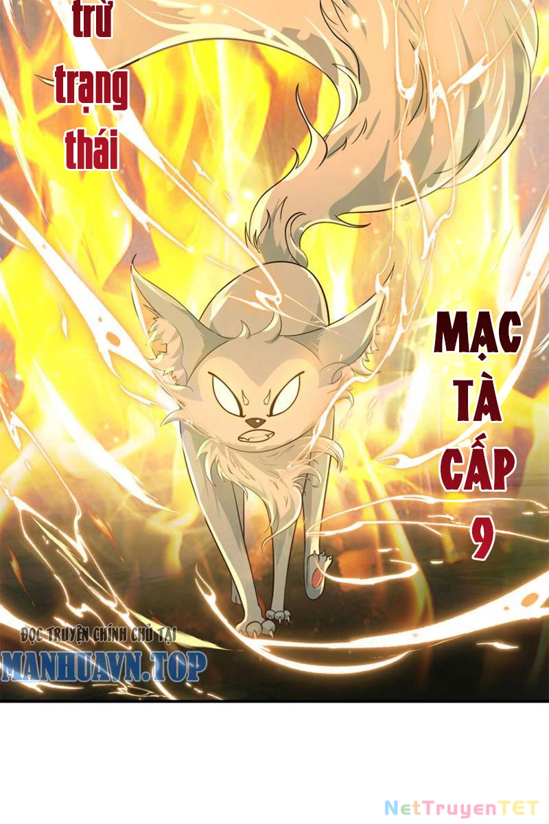Tân Sủng Mị Chapter 17 - Trang 2