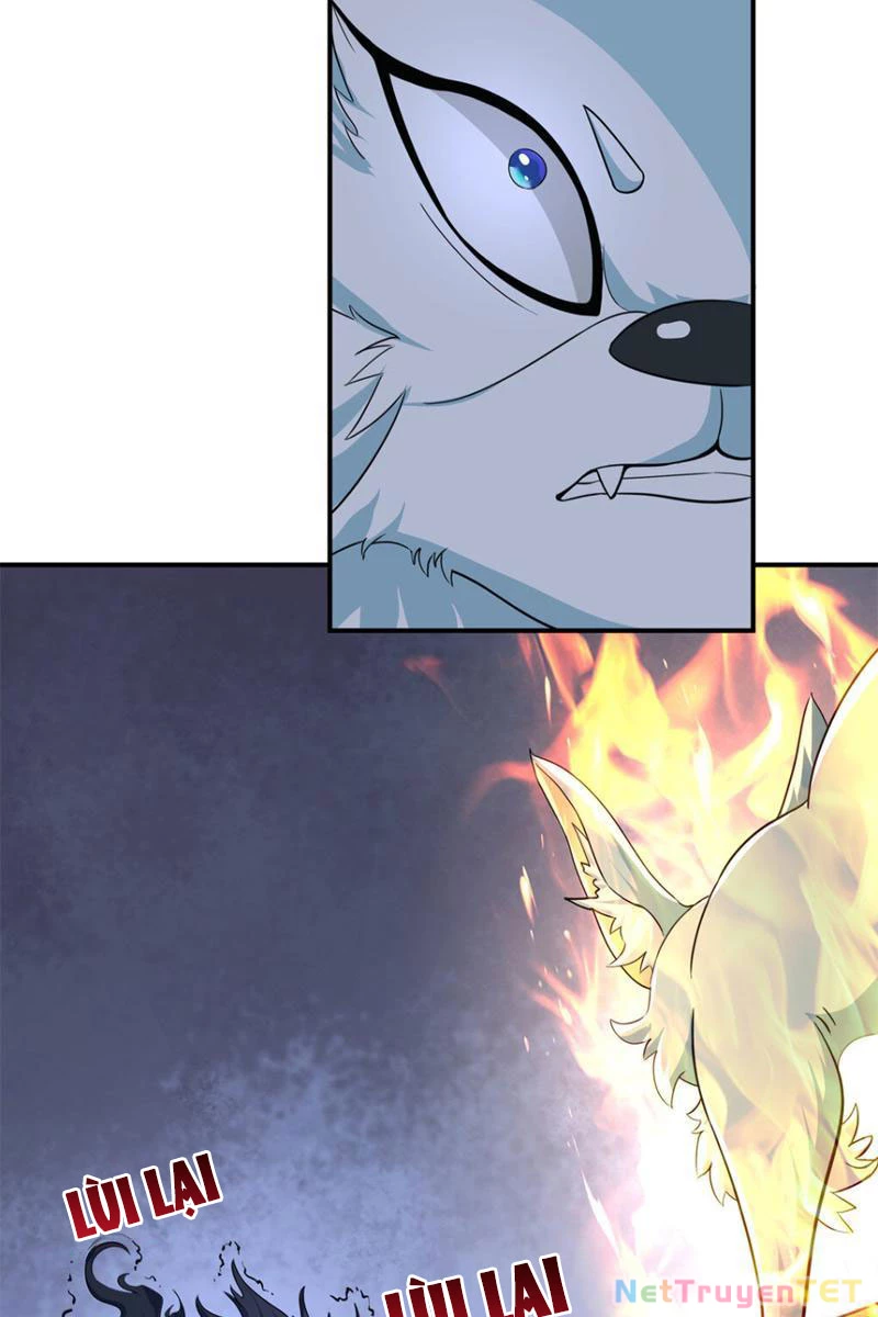 Tân Sủng Mị Chapter 17 - Trang 2