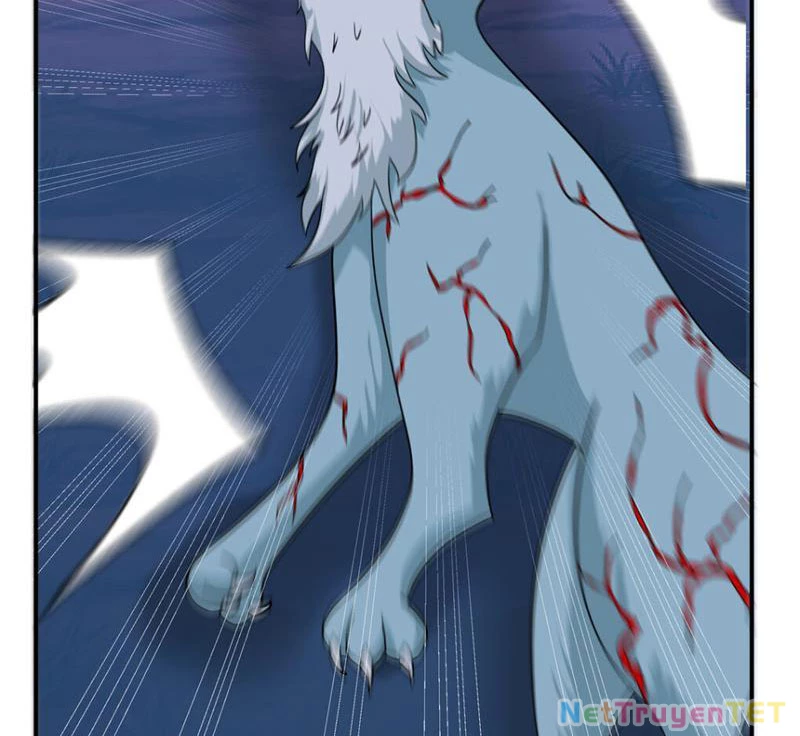 Tân Sủng Mị Chapter 17 - Trang 2