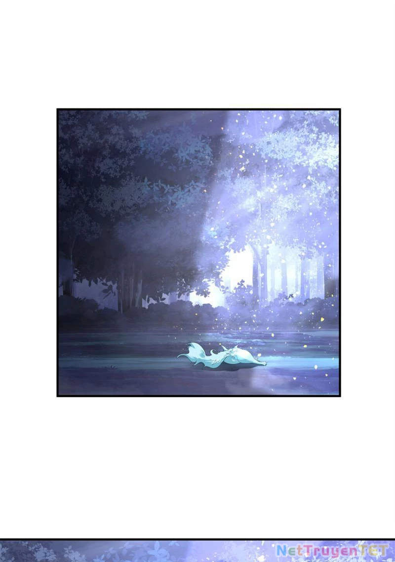 Tân Sủng Mị Chapter 18 - Trang 2