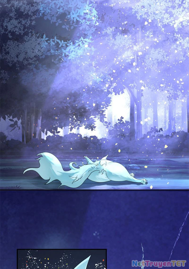 Tân Sủng Mị Chapter 18 - Trang 2