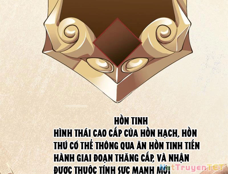 Tân Sủng Mị Chapter 18 - Trang 2