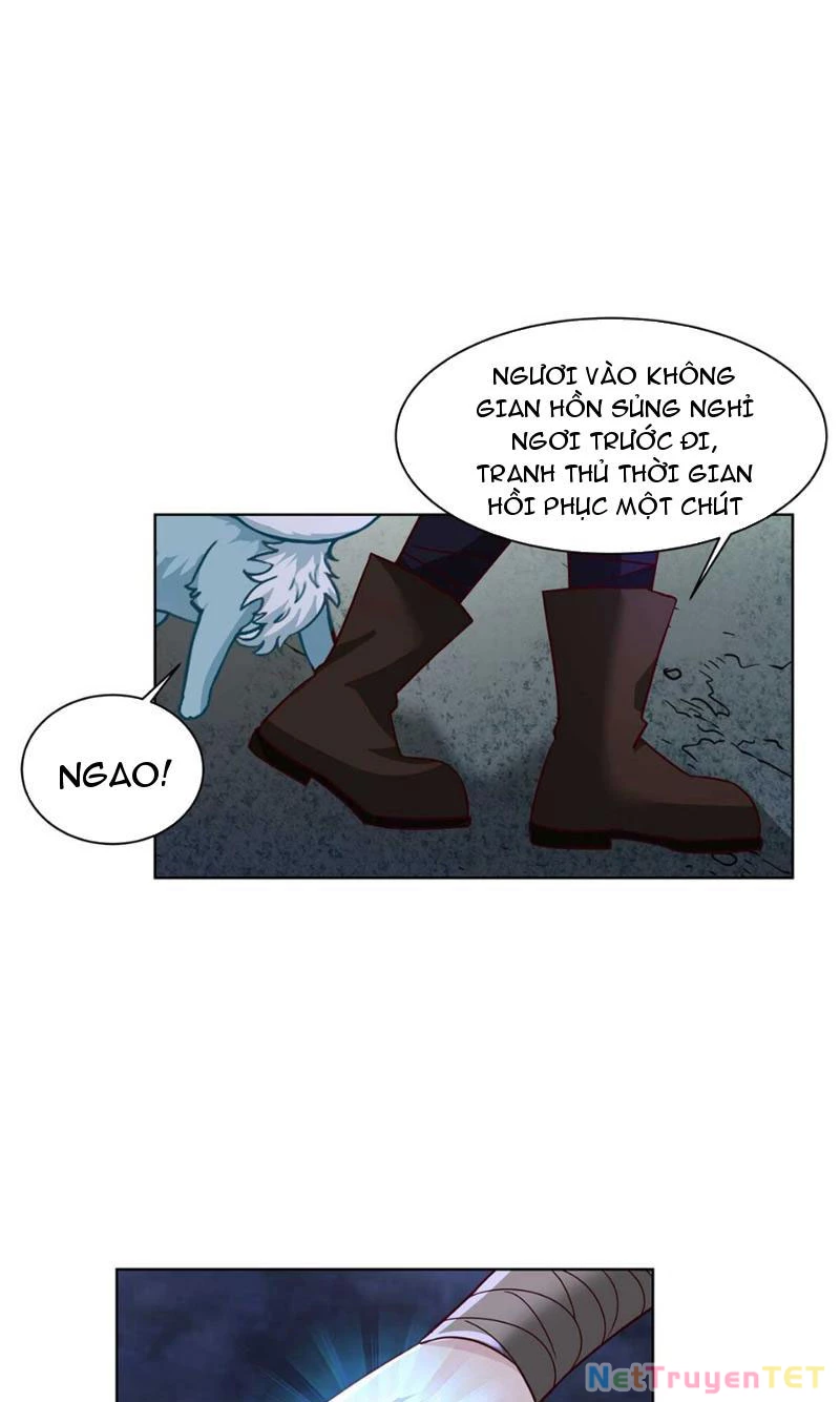 Tân Sủng Mị Chapter 19 - Trang 2
