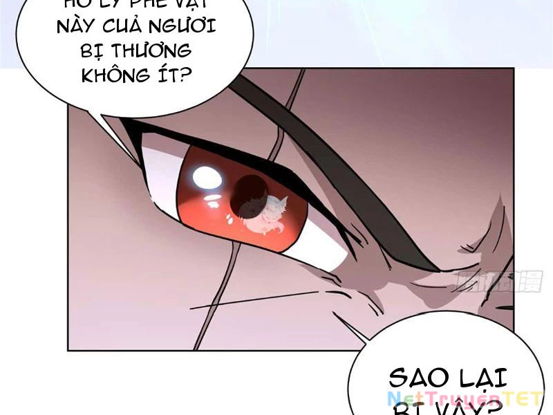 Tân Sủng Mị Chapter 20 - Trang 2
