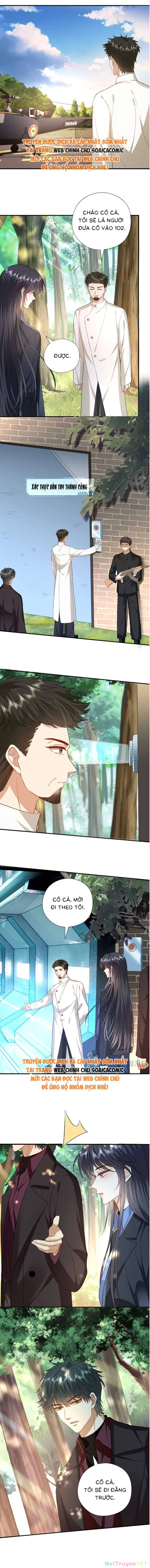 Vợ Của Lục Tổng Không Phải Dạng Vừa Chapter 181 - Trang 4