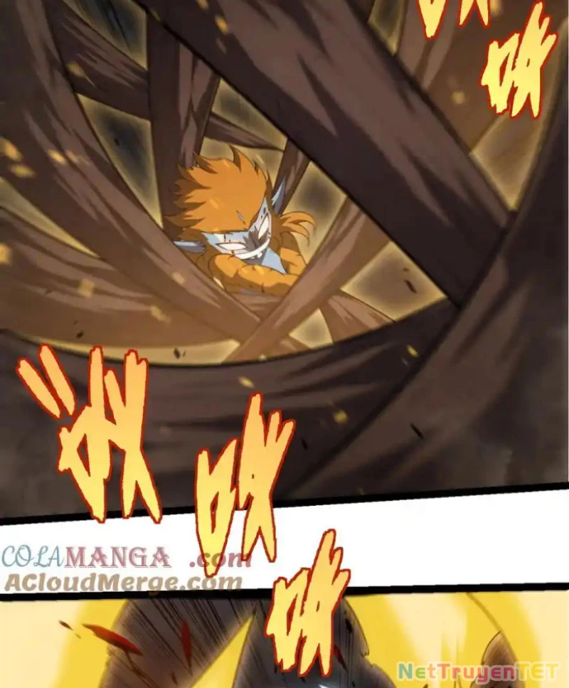 Chuyển Sinh Thành Liễu Đột Biến Chapter 323 - Trang 4