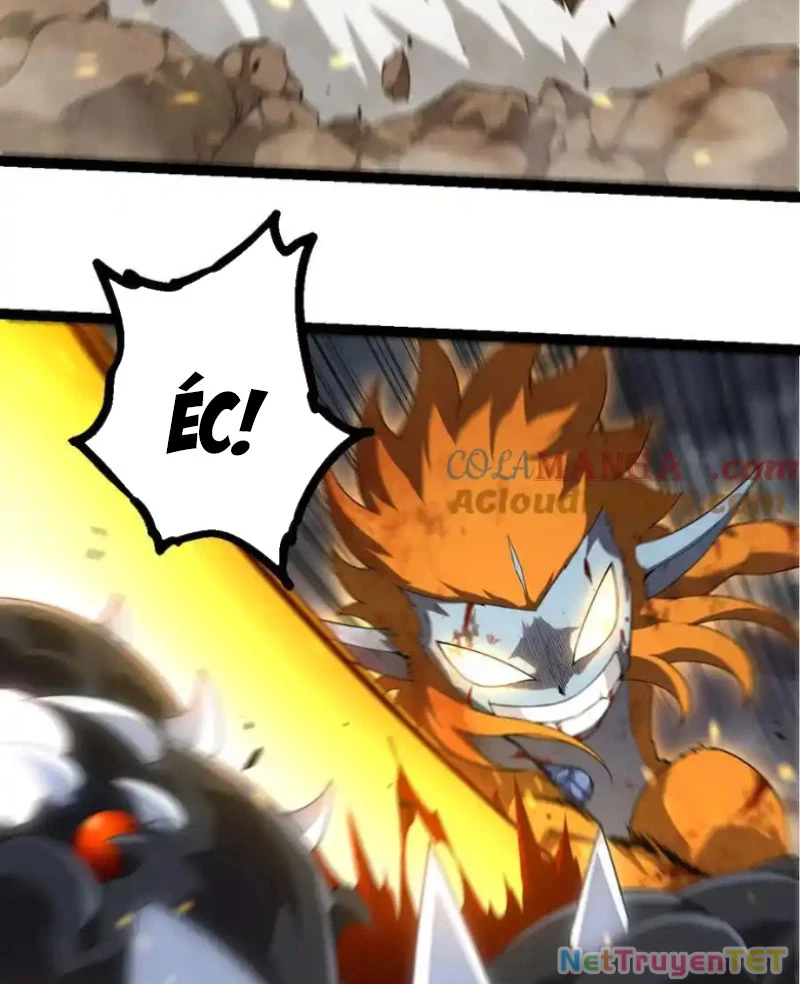 Chuyển Sinh Thành Liễu Đột Biến Chapter 323 - Trang 4