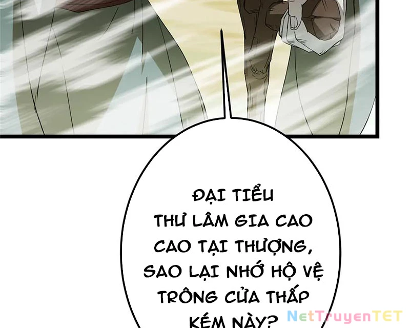 Chưởng Môn Khiêm Tốn Chút Chapter 464 - Trang 4