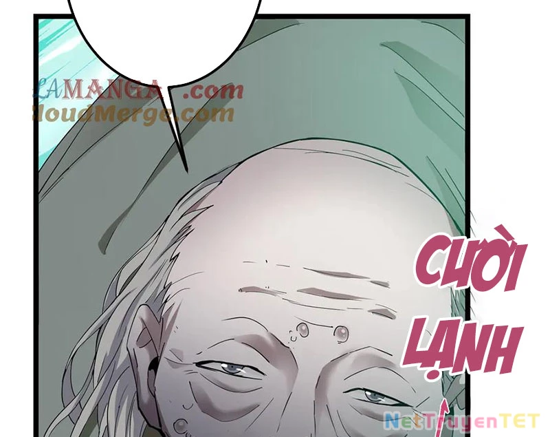 Chưởng Môn Khiêm Tốn Chút Chapter 464 - Trang 4