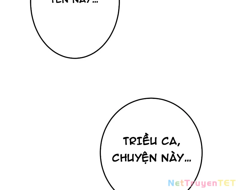 Chưởng Môn Khiêm Tốn Chút Chapter 464 - Trang 4