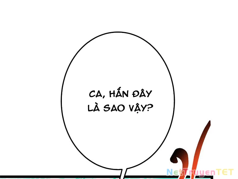 Chưởng Môn Khiêm Tốn Chút Chapter 464 - Trang 4