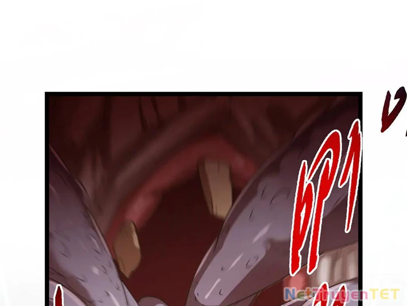 Chưởng Môn Khiêm Tốn Chút Chapter 464 - Trang 4