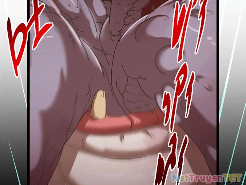 Chưởng Môn Khiêm Tốn Chút Chapter 464 - Trang 4