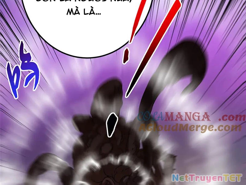 Chưởng Môn Khiêm Tốn Chút Chapter 464 - Trang 4