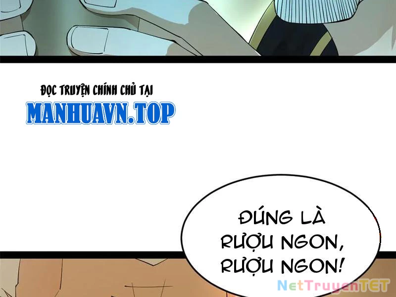 Chàng Rể Mạnh Nhất Lịch Sử Chapter 265 - Trang 4