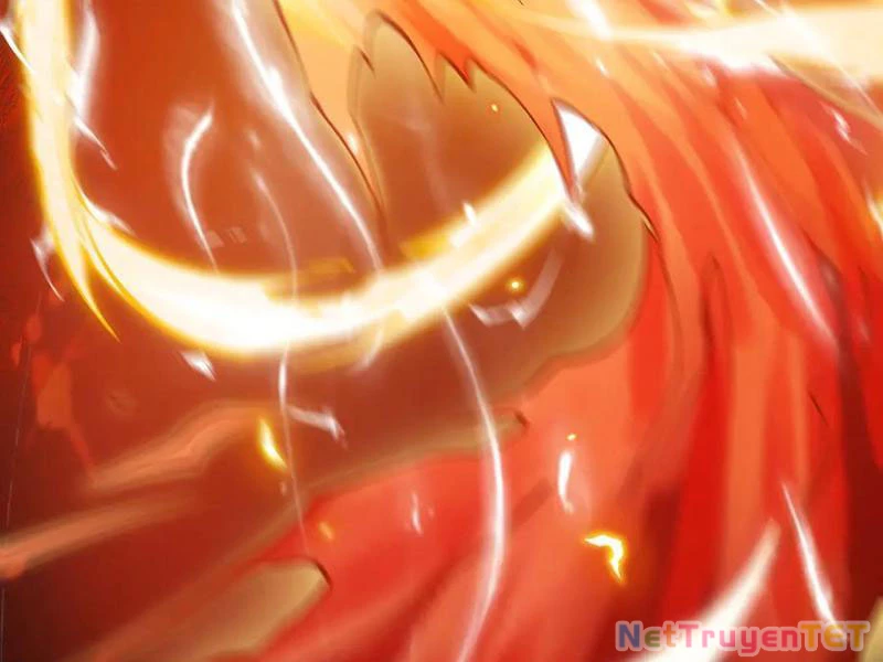Gặp Mạnh Thì Mạnh, Ta Tu Vi Vô Thượng Hạn Chapter 13 - Trang 3