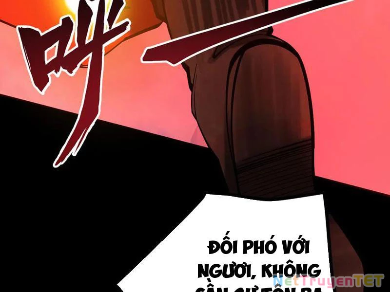 Gặp Mạnh Thì Mạnh, Ta Tu Vi Vô Thượng Hạn Chapter 13 - Trang 3