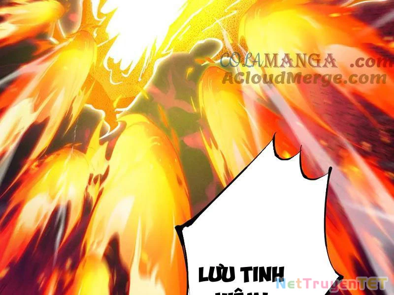 Gặp Mạnh Thì Mạnh, Ta Tu Vi Vô Thượng Hạn Chapter 13 - Trang 3