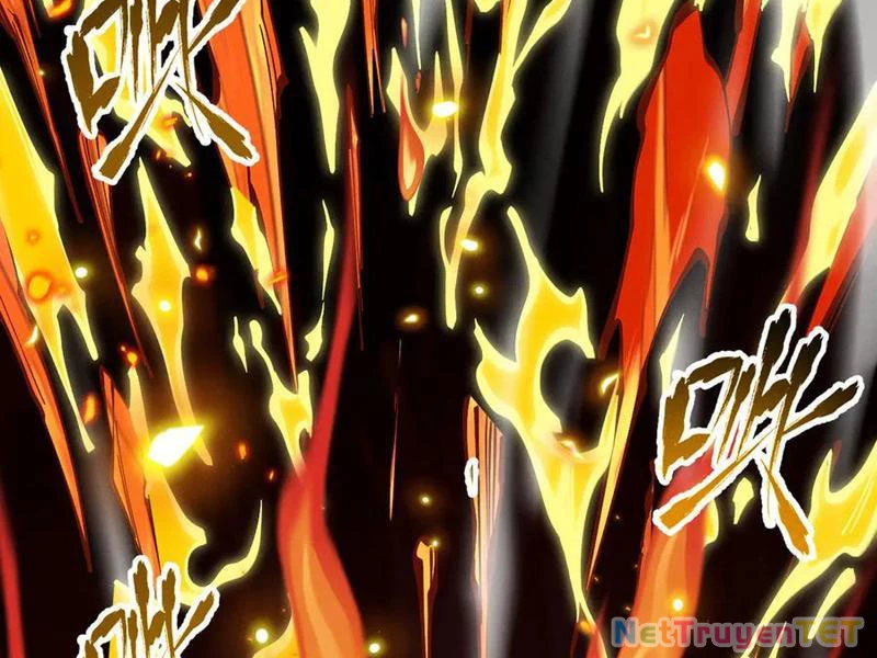 Gặp Mạnh Thì Mạnh, Ta Tu Vi Vô Thượng Hạn Chapter 13 - Trang 3