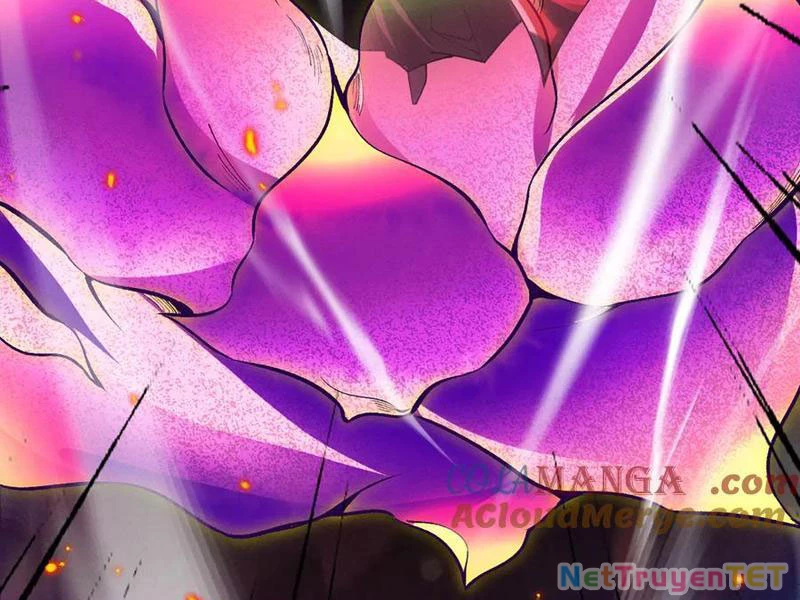 Gặp Mạnh Thì Mạnh, Ta Tu Vi Vô Thượng Hạn Chapter 13 - Trang 3