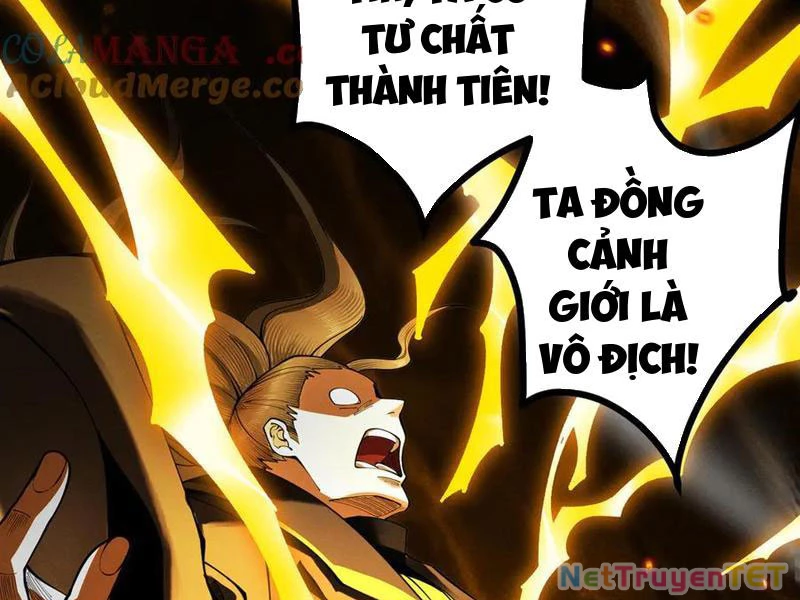 Gặp Mạnh Thì Mạnh, Ta Tu Vi Vô Thượng Hạn Chapter 13 - Trang 3