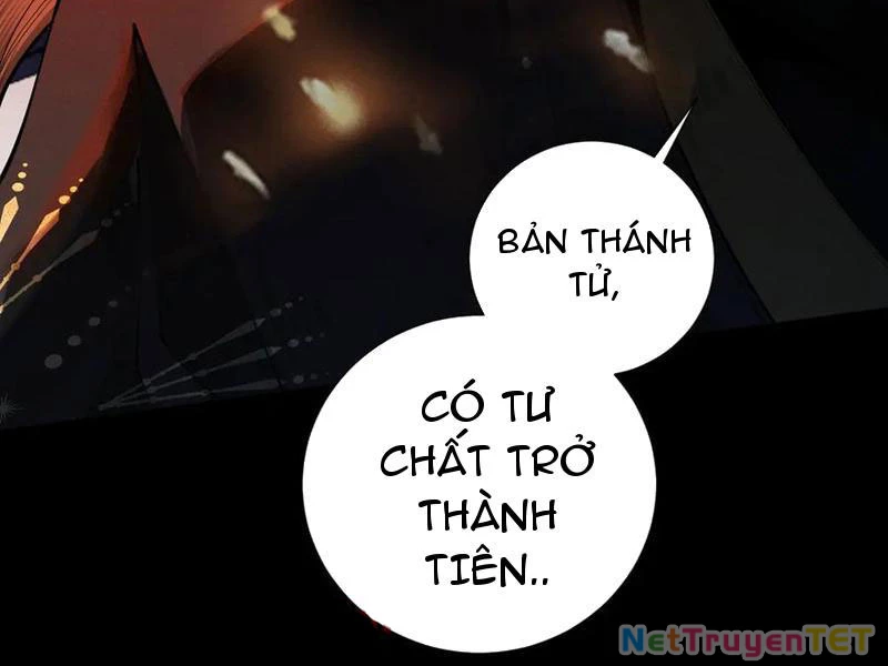 Gặp Mạnh Thì Mạnh, Ta Tu Vi Vô Thượng Hạn Chapter 13 - Trang 3