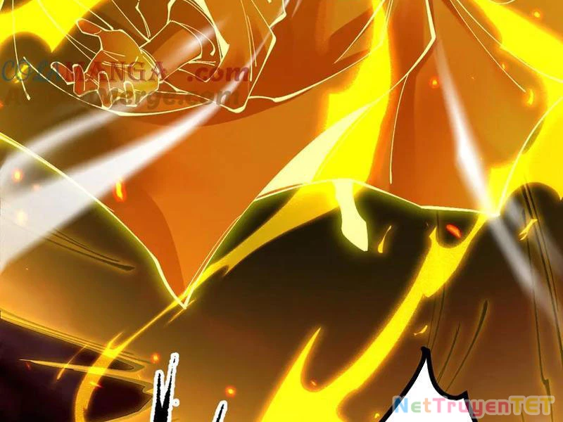 Gặp Mạnh Thì Mạnh, Ta Tu Vi Vô Thượng Hạn Chapter 13 - Trang 3