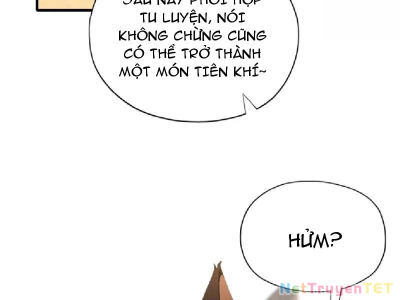 Hoá Ra Ta Đã Vô Địch Từ Lâu Chapter 235 - Trang 4